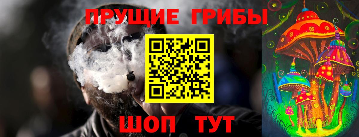Псилоцибиновые грибы Psilocybine cubensis  Вход с VPN  Бердск 