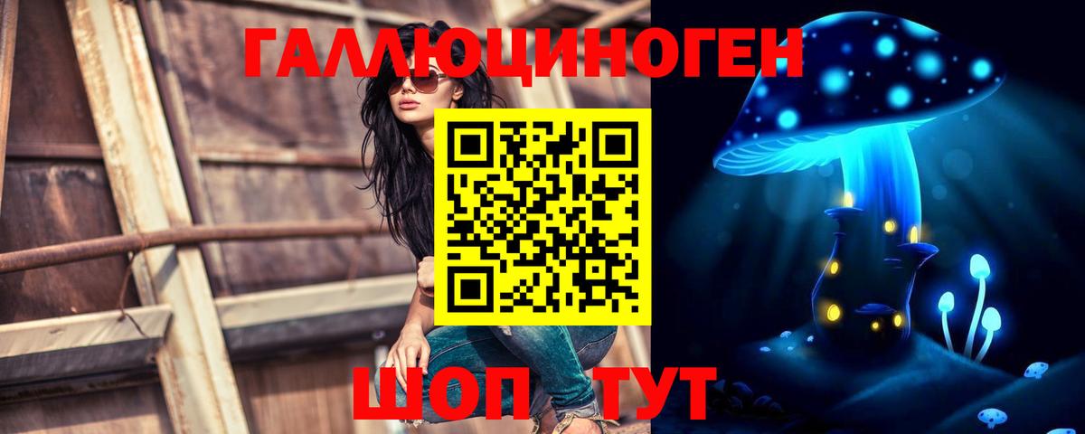 Галлюциногенные грибы мухоморы Бердск
